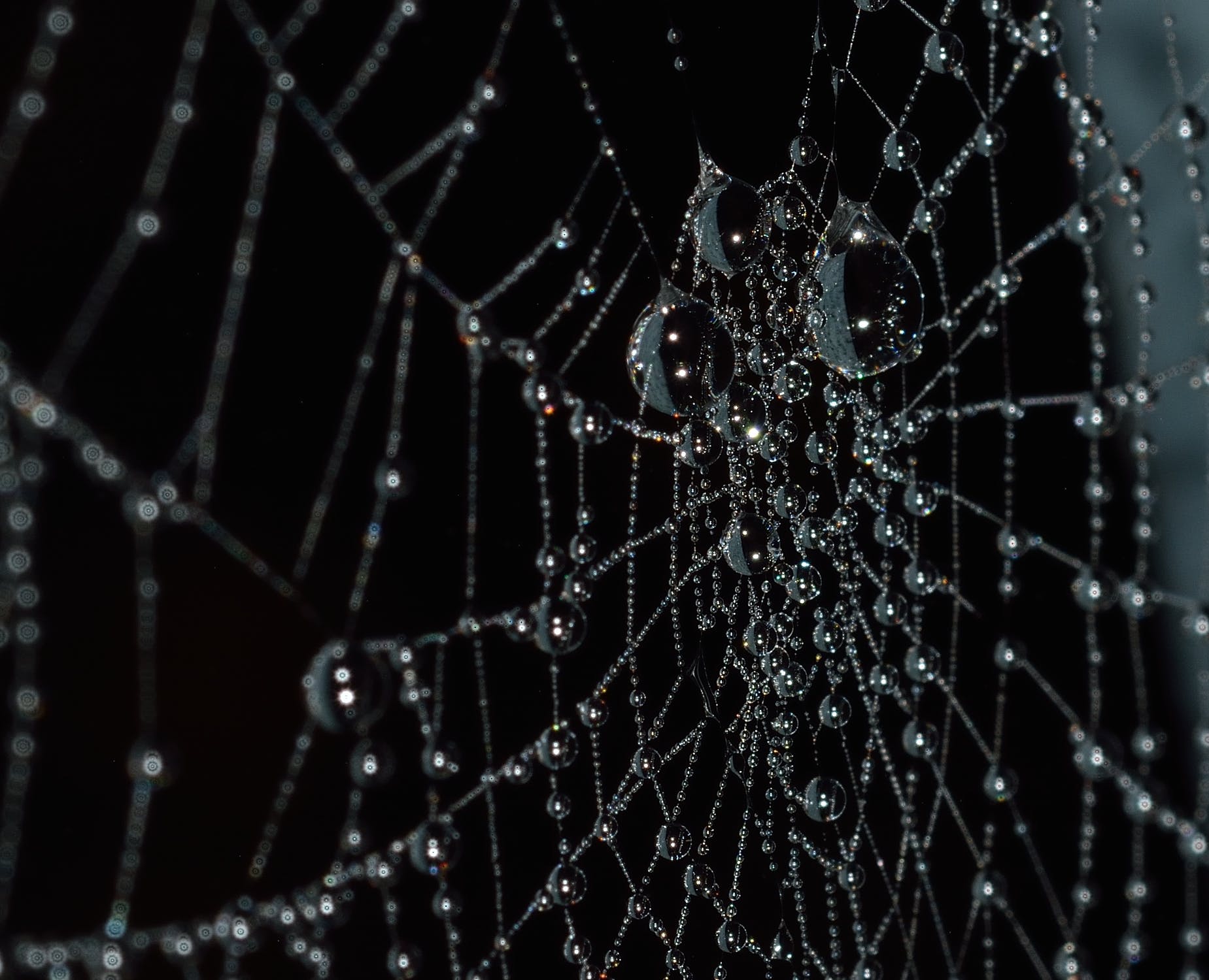 pexels-photo-276347